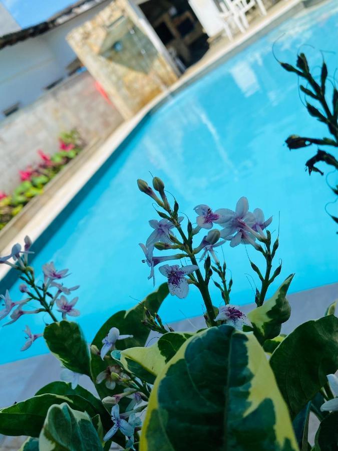 Kavili 150m Da Guest house Guaruja